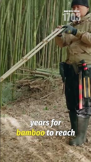 Crafting Yumi Bows: A Sustainable Japanese Tradition