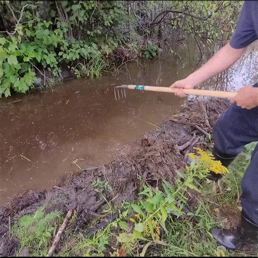 Showing How Beavers Made A Muddy Mess Of This Road | Post 10