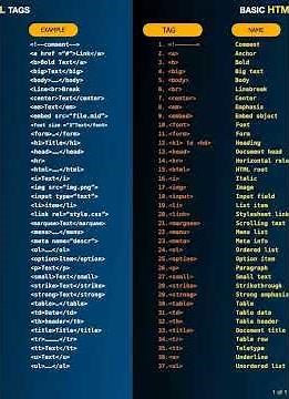 Basic HTML Tags with examples. For Beginners #html #coding #programming