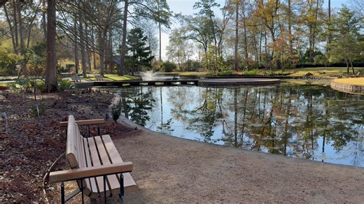 Looking for a new place for rest, reflection, and renewal? Mercer’s Storey Lake offers a calming and inspiring environment with a dozen seating areas for you to enjoy. Visit us this spring and experience it for yourself! #MercerBotanicGardens #nature #wellness | Mercer Arboretum and Botanic Gardens