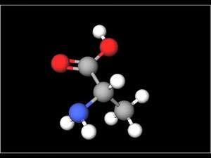 I composti del carbonio
