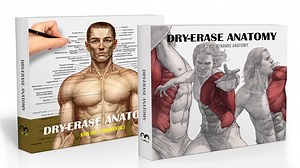Dry Erase Anatomy Books (Kato Anatomy)