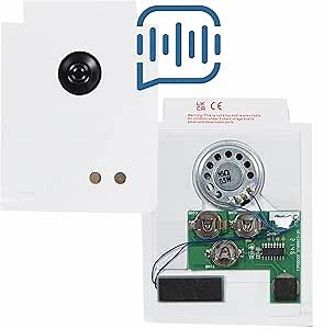 60 Second Custom Programmable Audio Playback Module for Printed Cards