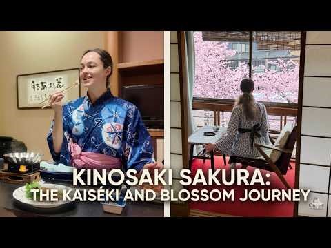 ♨️Japan’s Most Beautiful Onsen Town (No One Talks About This)