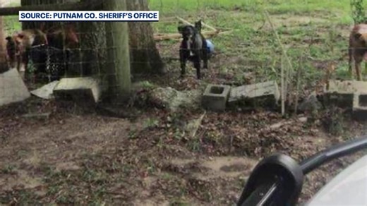 Florida House advances bill to create statewide 'dangerous dog' registry