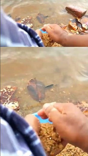 Feeder Method Fishing