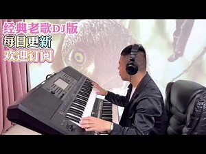 经典老歌DJ版【电子琴演奏】keyboard music
