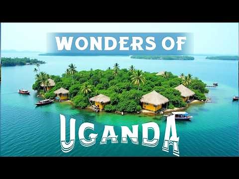 Unique Facts About Uganda That Will Change Your Perspective 🌍