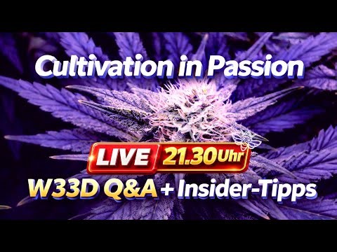 Cultivation in Passion - W33D Q 'n' A's and more - LiveStream