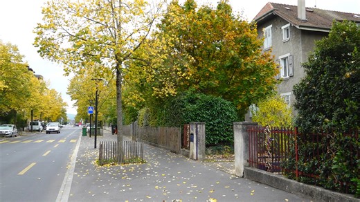 La gauche attaque en référendum le déclassement en zone ordinaire de Seymaz-Sud à Chêne-Bourg. Cette zone villa, qui doit être densifiée, pourrait être victime de la spéculation immobilière selon les opposants ⬇️ | Léman Bleu