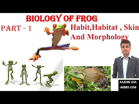 Class 11 Frog 01 Habit and habitat, morphology For CEE , NEB biology