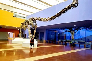 Fort Worth Museum of Science & History Taking Online Learning to the Next Level