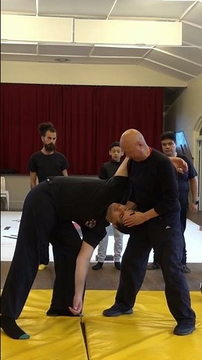 Praying Mantis Kung Fu Neck Control Against Punch Attack Technique螳螂拳应对拳击攻击擒拿后颈控制实战技巧解析#Chin-Na