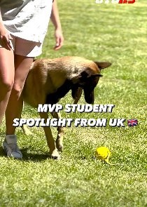 822K views · 4.5K reactions | MVP Student Spotlight ⭐ Emma and Ruse have been extraordinary members of the MVP program, showing a tremendous amount of effort, dedication and work put into their growth between handler and dog. We are proud to be part of her incredible journey as a new female working dog trainer Need to know more about the MVP program? DM us ✏ | STS K9 - Nino Drowaert | Facebook
