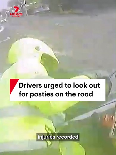 Australia Post is urging drivers to be careful ahead of the busy shopping season, with one postie injured on the road every workday. #post #postie #australiapost #mail #driver