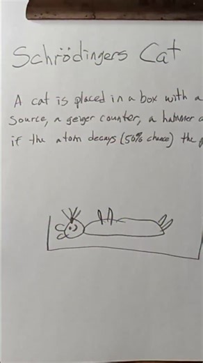 Throwing Things on Instagram: "I don't understand Schrodingers cat, please explain in layman's terms, if you can"