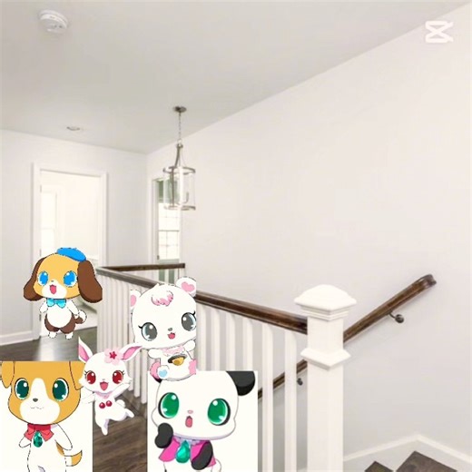 Rinko gets phones ruby and labra and rald and chite and roku are the best and most likely￼￼ bedrooms