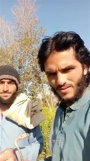 Understanding Naqeeb Banisai: A Cultural Perspective