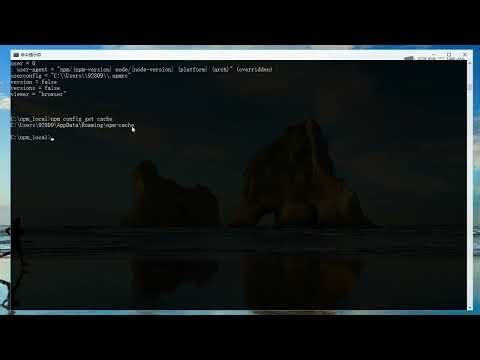《零基础新手入门NPM包管理器课程》 4·2 npm缓存管理