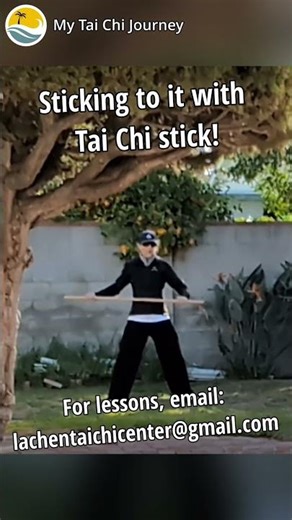 Tai Chi Stick