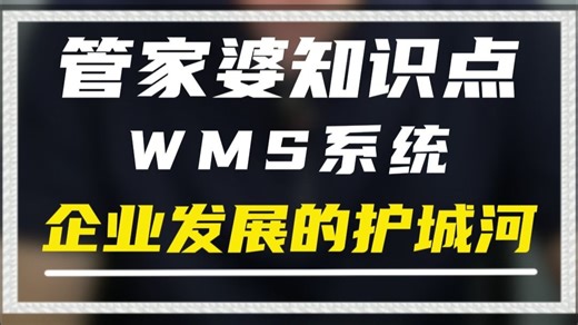 拒绝仓库 “瞎忙活”！WMS 系统核心功能讲解，听完就懂！WMS 系统功能干货，老板、主管码住！