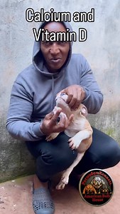 Calcium builds the structure, Vitamin D helps the body use it. Together they support healthy growth, firm pasterns & solid joints. Start early, stay consistent!#PuppyCare #HealthyPuppy #DogTips #AmericanBully | John Gakaria