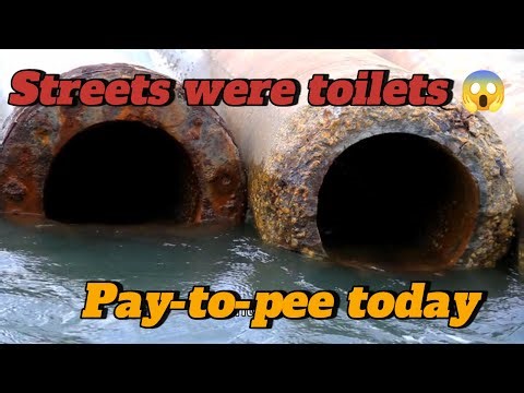 👇ClickEasy4All: The Dark Secret Behind Europe’s Missing Toilets