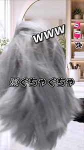 絡まりにくいヘアブラシはどこで買える？スルスル解ける使い方