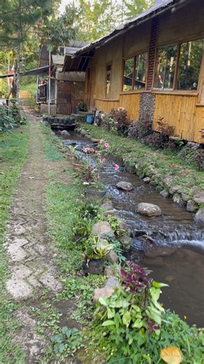 1.1K views · 649 reactions | The river flows beside the house, making this place even more aesthetic and very unique with the flow of clear water from the mountains. #nature #naturephotography #naturelovers | Syarif Nova | Facebook