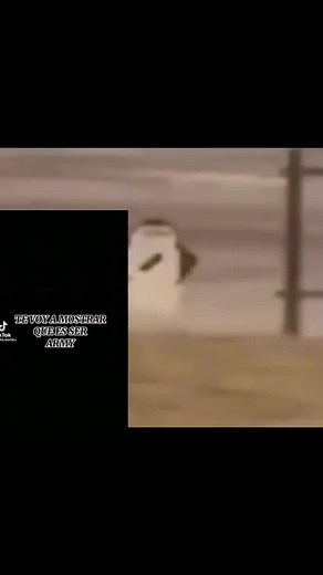 editor_memes_XD on TikTok