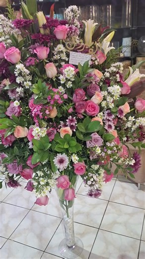 فيديوهات أنشأها وردة جميلة 💐 (@warda_gamila) باستخدام شكراً من هنا لبكرة - صاحب عمري - Amr Diab