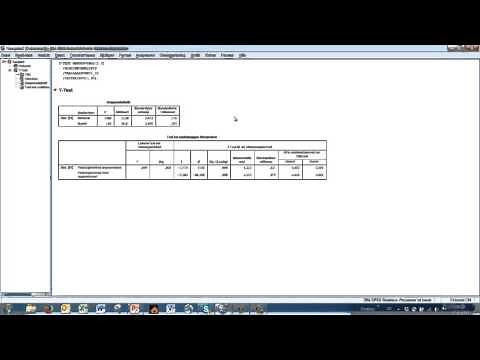 3.1. Mittelwertvergleiche - T-Test