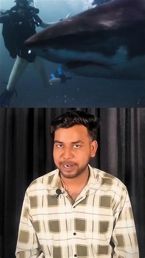 Bollywood UnderWater Shoot With Real Sharks 🤯