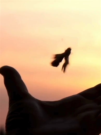 ✨ No es casualidad que estés aquí. Formas parte de un plan cósmico que comenzó hace miles de millones de años… Un impulso del universo por despertar la consciencia. Ese viaje te trajo hasta MAHANÁ: 🌿 Un lugar donde no solo habitas tierra, sino todo tu potencial. Aquí, la selva te recibe. La energía florece. Y tú, simplemente, vuelves a ser. 💫 MAHANÁ. Donde todo florece… incluso tú. 🌐 mahanatulum.com 📞 52 1 984 142 8835 #MAHANÁ #VivirConPropósito #EcoDesarrollo #SelvaMaya #Tulum