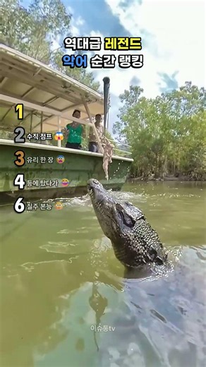 역대급 레전드 악어 순간 랭킹 🐊 #악어 #동물랭킹