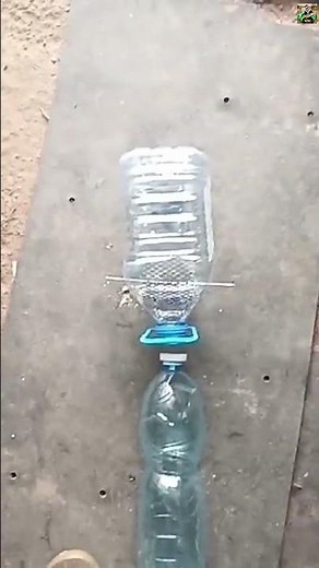 How to Build a DIY Maggot Farm at Home Easy Guide to Grow Maggots for Fishing and Composting #Shorts