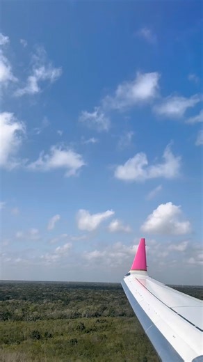 Necesitas salir a tomar aire fresco... pero a 30,000 pies de altura. 😜✈️ | Copa Airlines