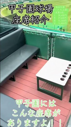 甲子園球場 座席紹介 阪神タイガース