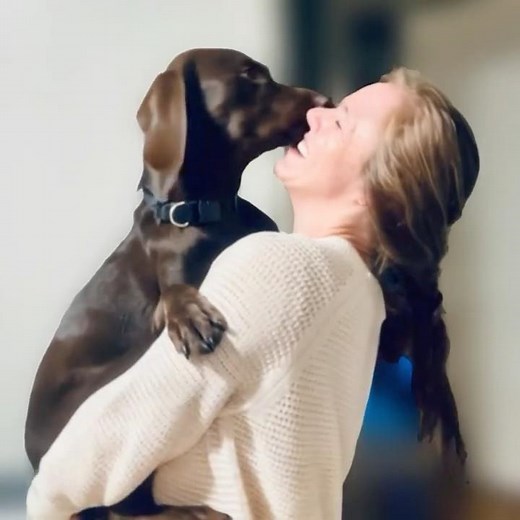 Real Science Behind the Human-Canine Bond