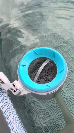 Intex pool skimmer