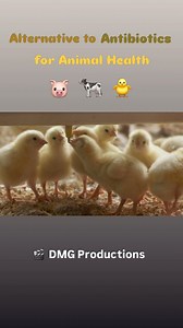 Recombinant DNA 🧬 #technology is revolutionizing how vaccines combat #food-borne illnesses. #agriculture #animals WATCH! | DMG Productions