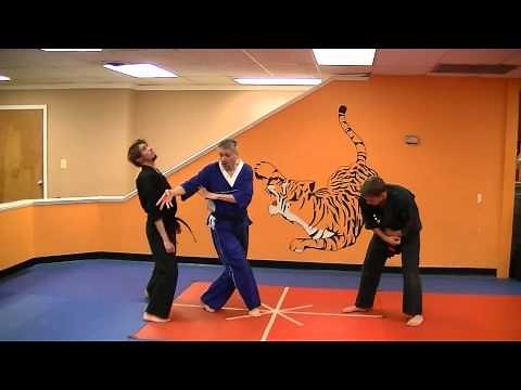 Reprimanding The Bears - Multiple Attackers defense for a rear bear hug and a front punch