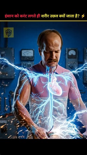 ⚡ Why Does Your Body Jump During Electric Shock? 😨