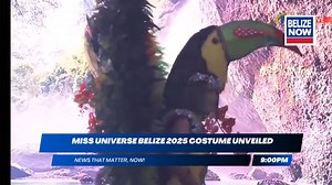 TOUCAN-INSPIRED NATIONAL COSTUME FOR MISS UNIVERSE BELIZE 2025 UNVEILED Belize’s Miss Universe 2025 national costume has been revealed, showcasing a striking design inspired by the keel-billed toucan, the country’s national bird. The costume features bold plumage, vibrant tropical colors, and dramatic wings that pay tribute to Belize’s rich biodiversity and natural beauty. The outfit will debut on the international stage as Belize gears up to compete for the Miss Universe crown later this month.