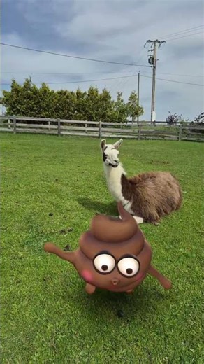 oula poop #caca #dance #meilleureschansons