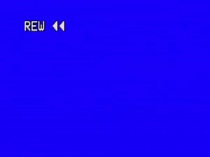 Closing To Dinosaur 2001 VHS