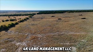 45 reactions · 11 shares | Here is a video of a 100 acre pasture we finished clearing a few weeks ago on the Red Bird Ranch In Lampasas. What a transformation this pasture was with it being one of the highest elevations in Lampasas County. One of the nicest land owners a person could ever ask to work for. We finished up this one and moved into another pasture where we are selective clearing invasive trees. #lampasas #hometown #landclearing | 4K Land Management | Facebook