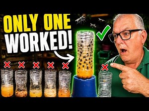I Made 6 Bottle Fly Traps from Household Items – Here's the Winner