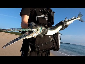 Yabe Island Expedition