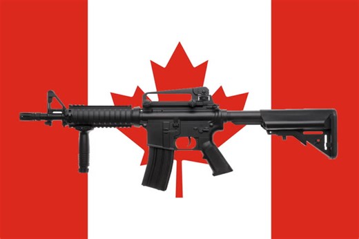 GUN BUYBACK PROGRAM: Fake, phony, useless project the Liberals can't get out of- Gunter